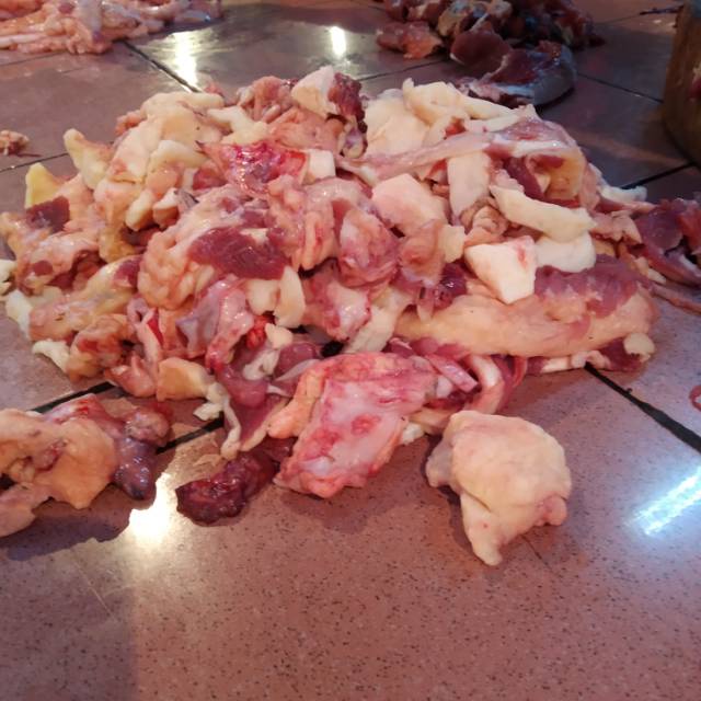 

Tetelan Sapi A