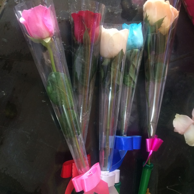 Bunga mawar asli pertangkai