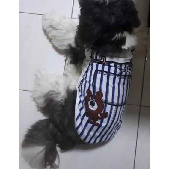 ϒ豆 Sale Baju Kucing Baju Anjing Besar Ready Stock Anggora