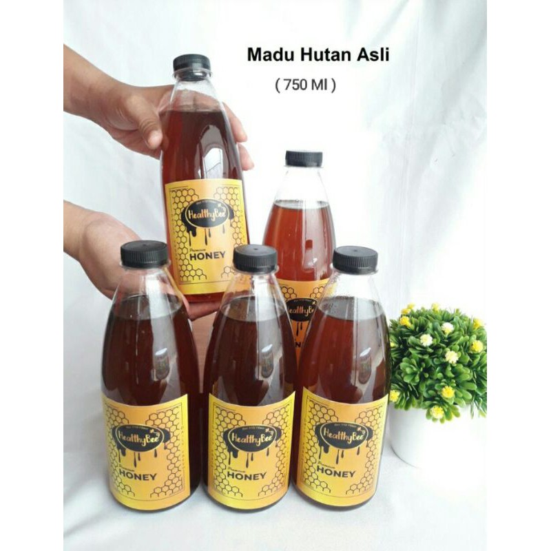 

Madu hutan asli + madu hitam klancheng