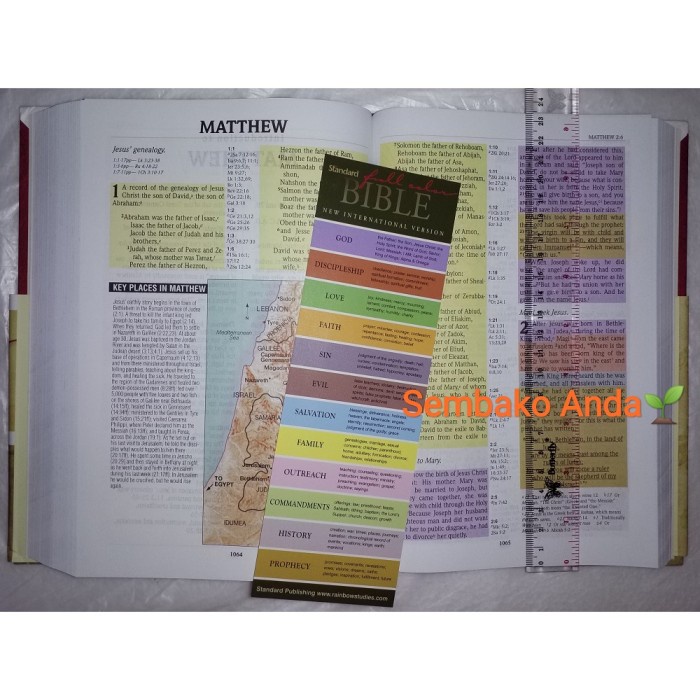 ALKITAB RAINBOW BAHASA INGGRIS. NIV STANDARD FULL COLOR BIBLE. H