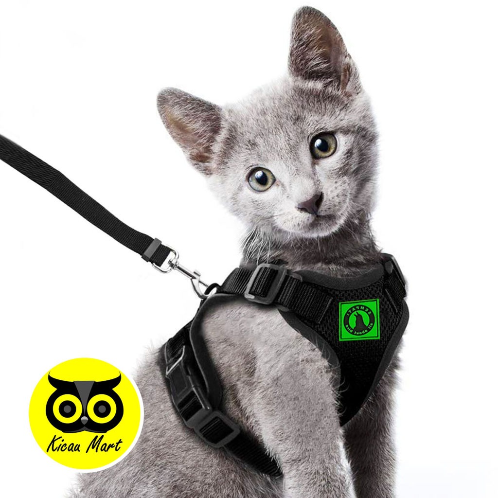 HARNESS KUCING CAT HARNESS HARNES CAT LEASH ROMPI KUCING HARNESS + TALI TUNTUN ROMPI BAJU KUCING ANJING MURAH CAT DOG LEASH  SEMPATI XLRMP