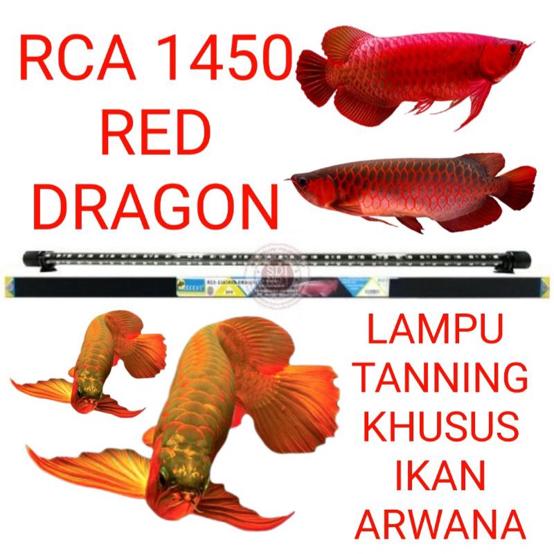 lampu tanning aquarium khusus ikan arwana rca 1450 red dragon RCA