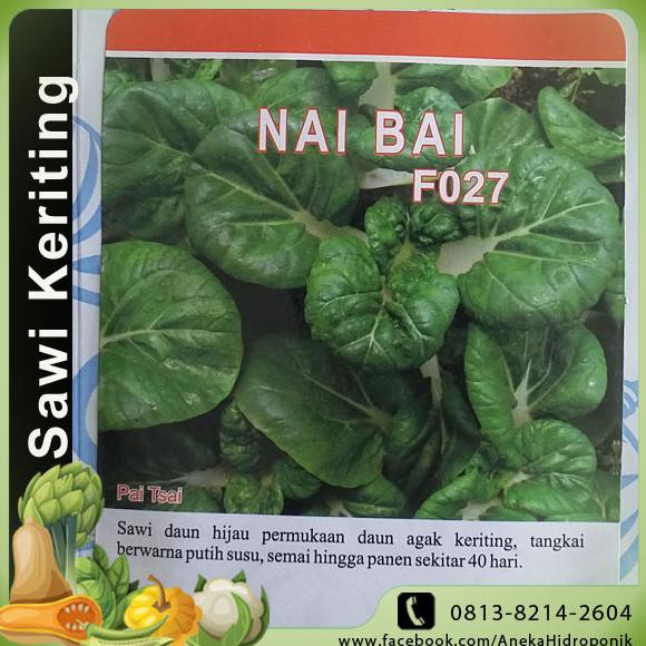 

Alat Hidroponik : Benih Bibit Biji Sawi Keriting, Nai Bai, 500 Sd, Kys Termurah