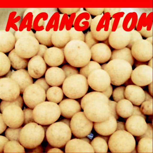 

Kacang Atom