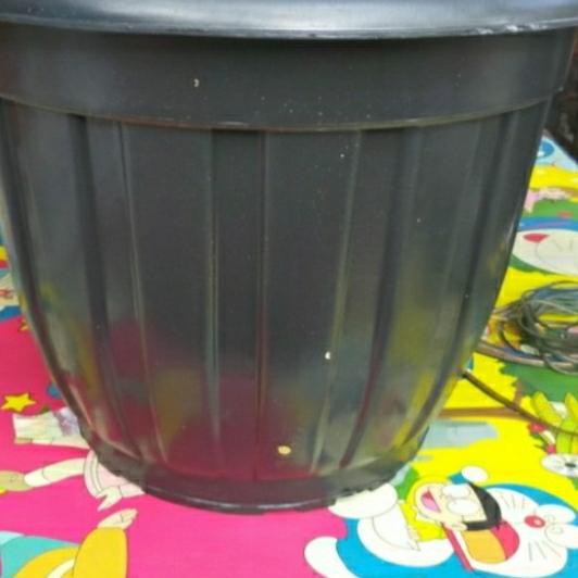 ♨ pot besar 70 / pot plastik / pot tanaman / pot / pot bunga / pot hitam - 50 cm ♩