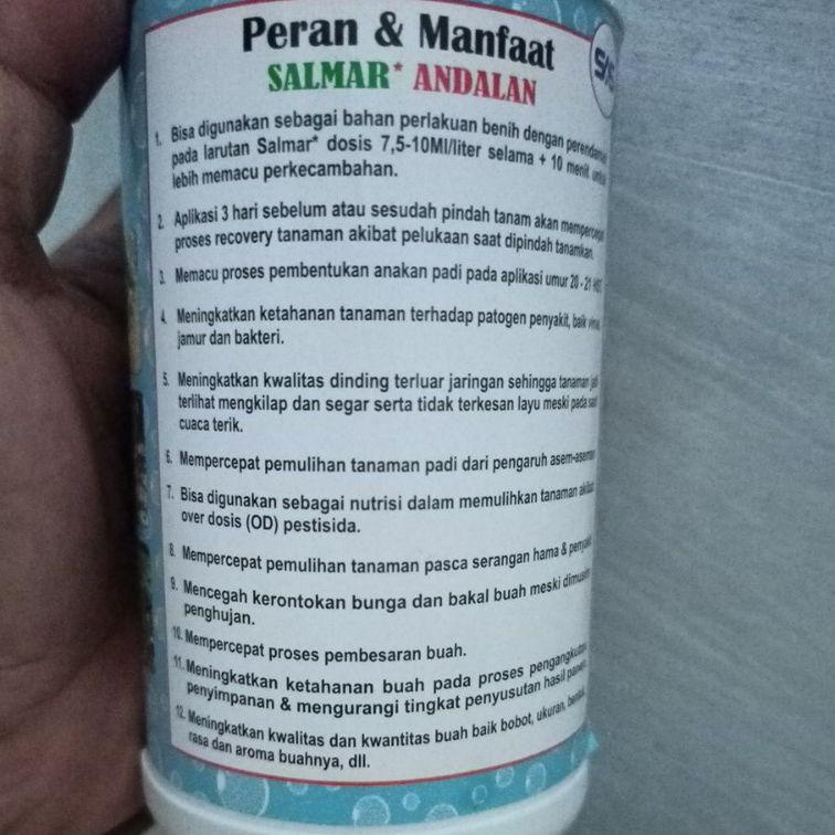 Siap Kirim.. salmar andalan