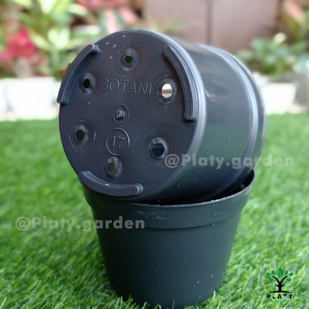 Pot Botani Hitam | (12cm - 20cm)