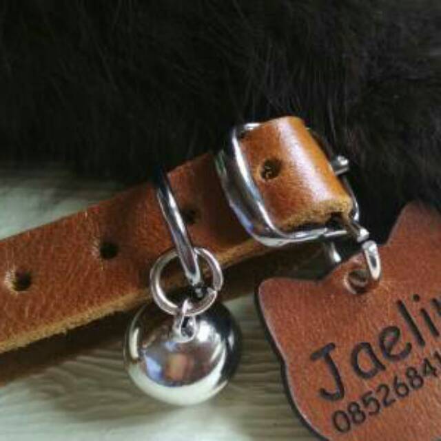 lonceng kalung kucing