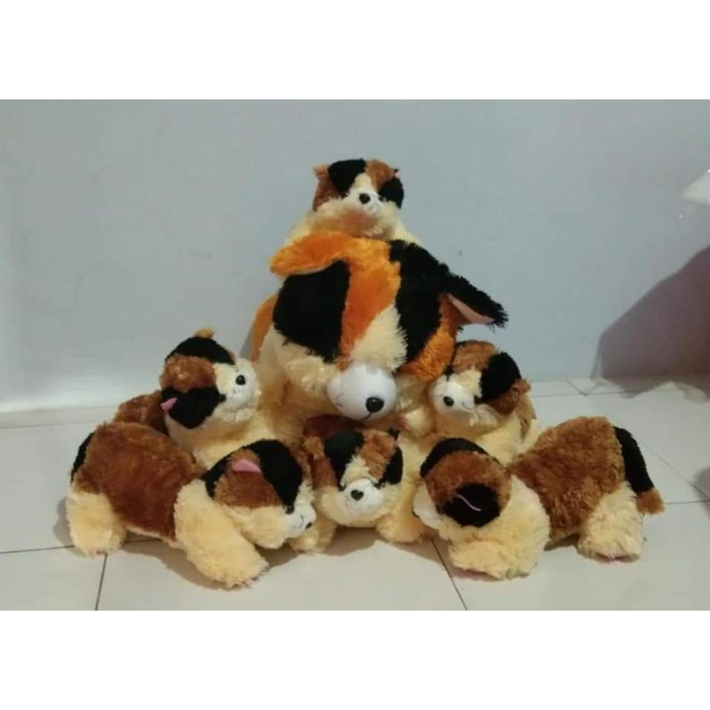 boneka kucing beranak  Shopee Indonesia