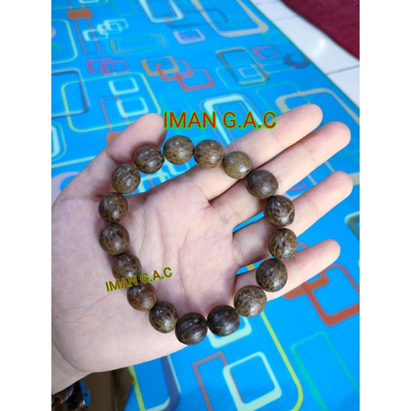 gelang biji gebang berserat