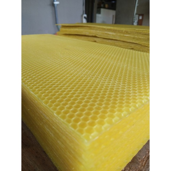 pondasi lebah cerana