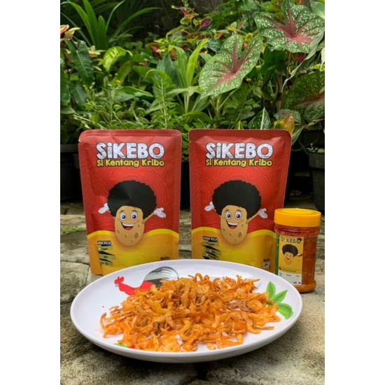 

si kebo kentang kribo