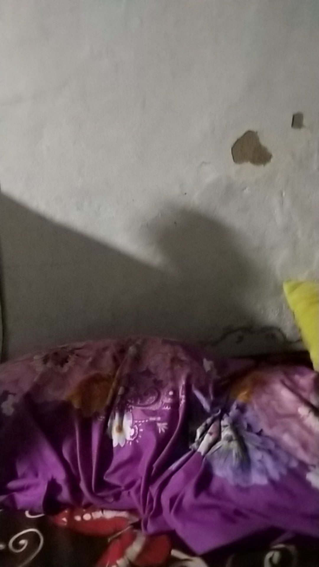 Grosir Spring Knip Muller / Grendel Kodok / Grendel Jendela Stainless Murah