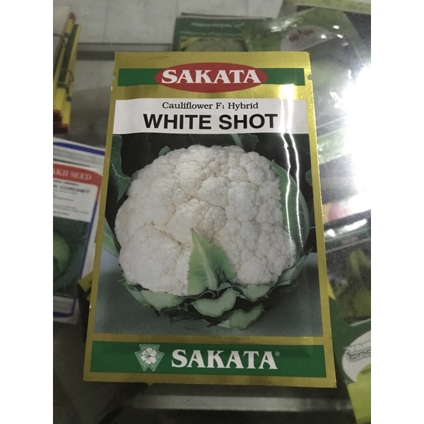 Bibit Benih Bunga Kol F1 / Kembang Kol Isi 10gr Sakata