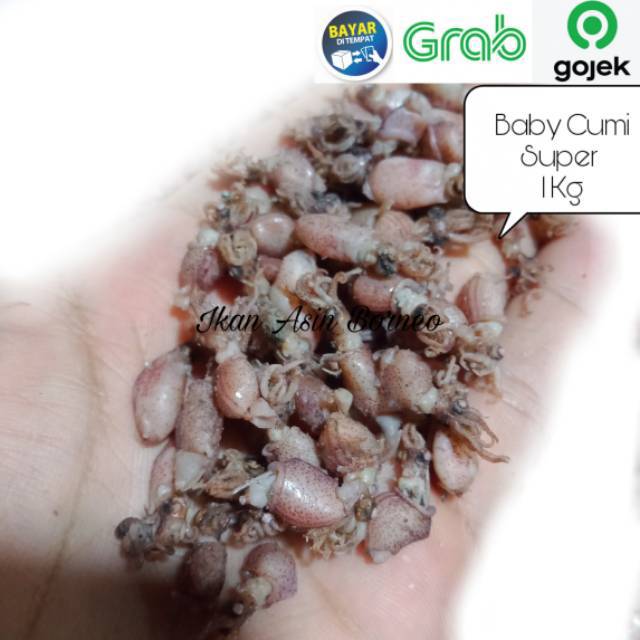 

Baby Cumi Asin Tawar 1000 Gram