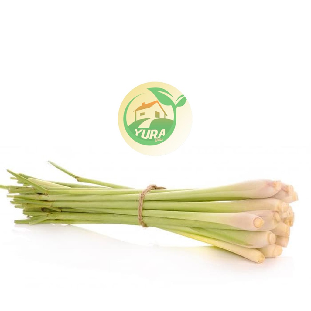 

SEREH Organik 100% Sayur Segar Organic