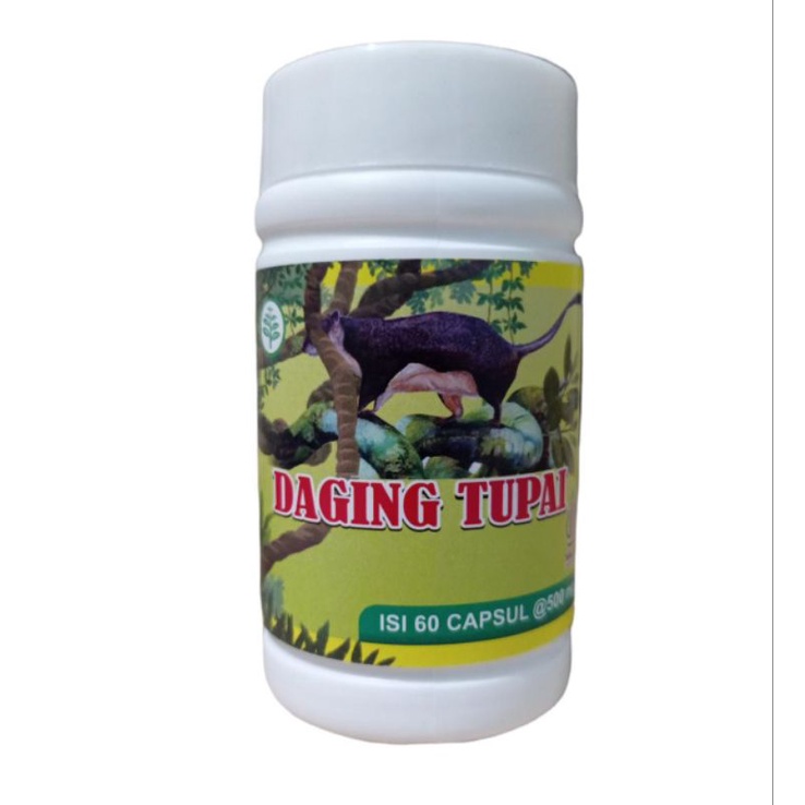 HERBAL DAGING TUPAI ANTI DIABETES