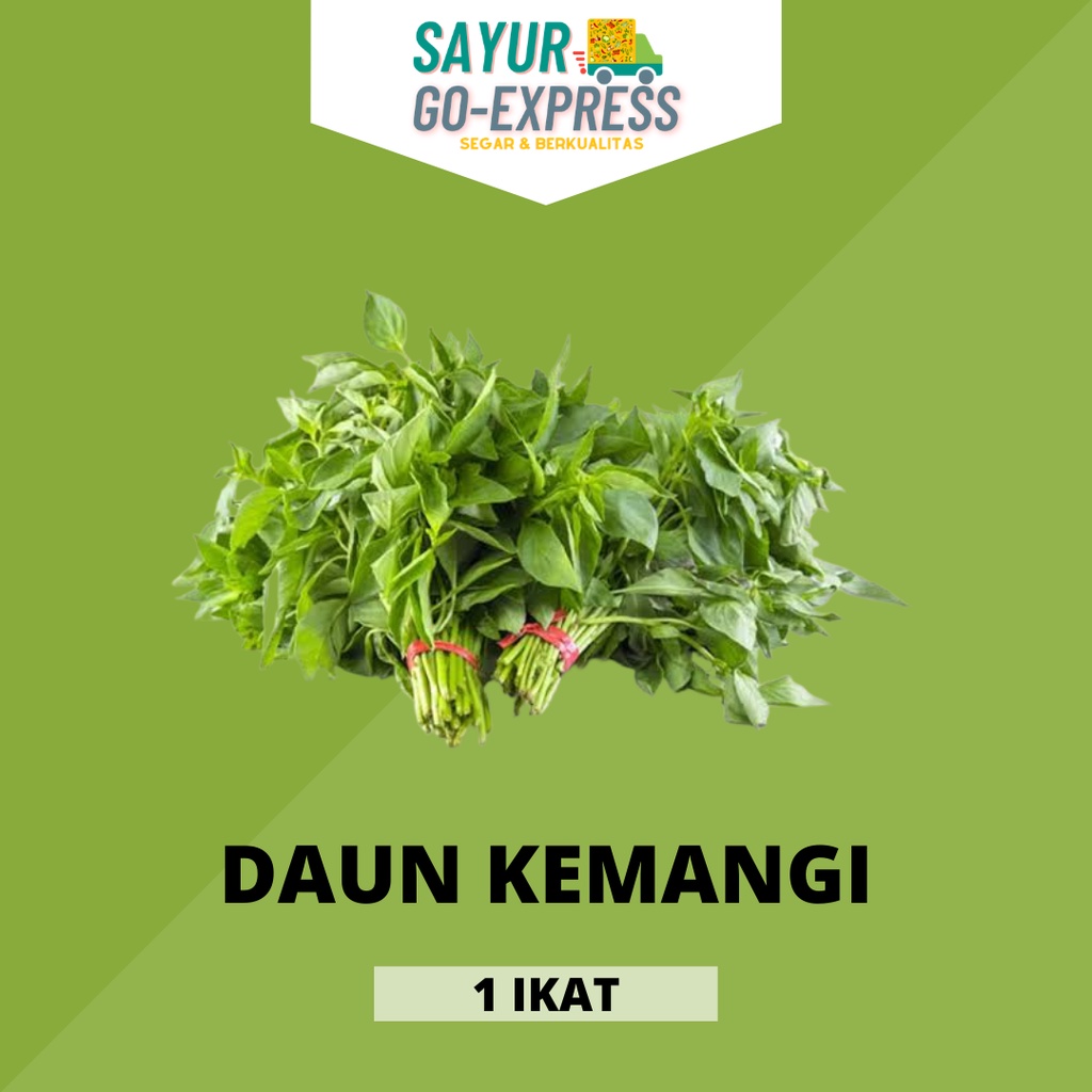 

daun kemangi segar fresh indonesian basil