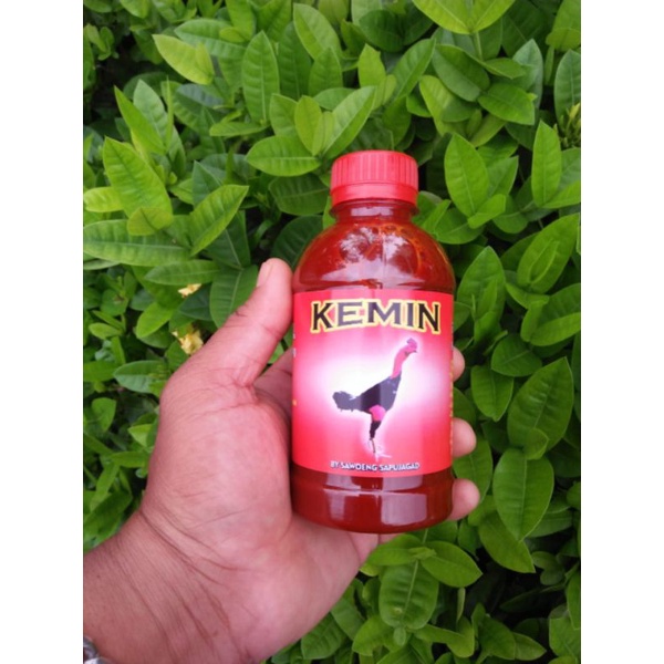KEMIN VIETNAM 250 ML