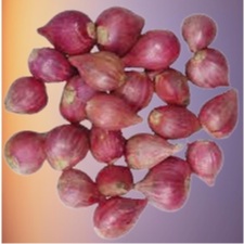 

( PER 250 gram) Bawang Merah bahan masak bawang merah