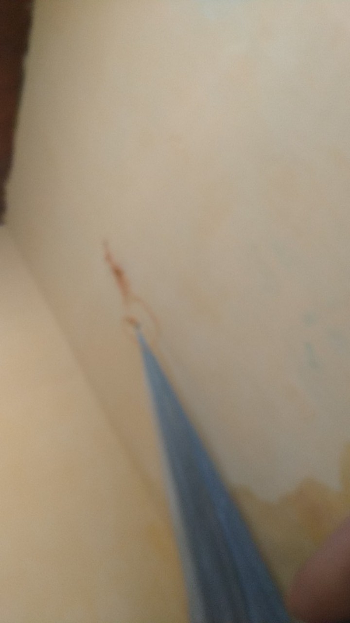Parutan Keju
