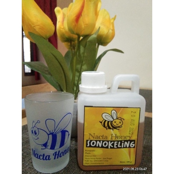 

madu sonokeling nacta honey