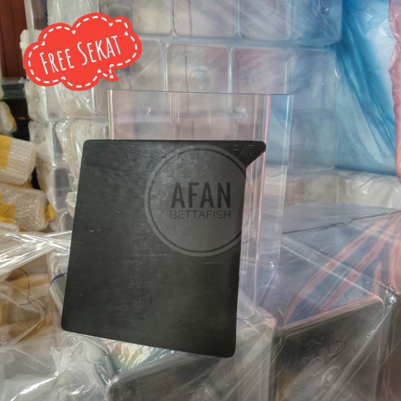 Toples Soliter Ikan Cupang 4 Liter Kotak Akrilik