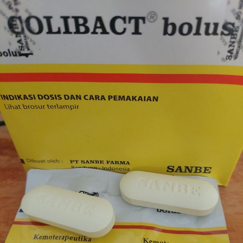 colibact bolus obat sapi luka