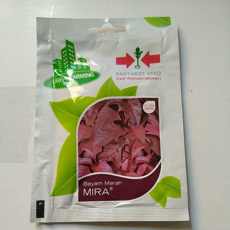 

BAYAM MERAH MIRA PANAH MERAH 10.000 SEEDS