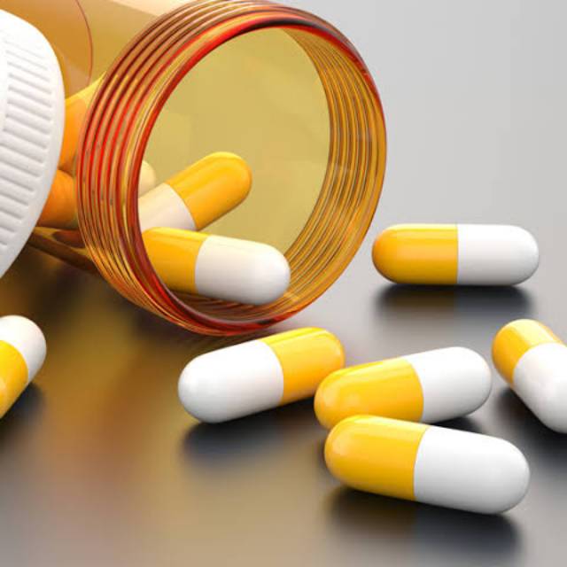 Vitamin Program Hamil Kucing