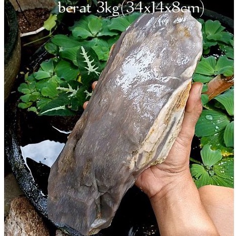 batu fosil kayu galih kelor kristal(140)