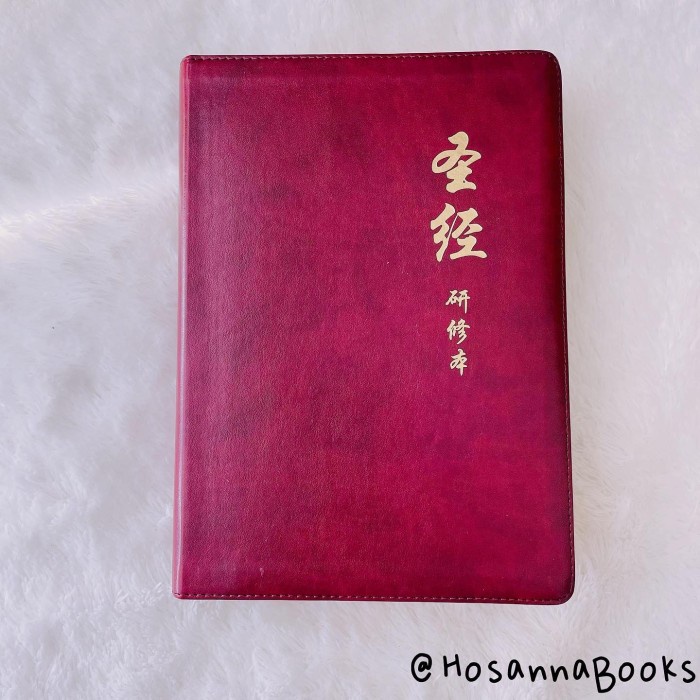 Alkitab Mandarin Study Bible Simplified