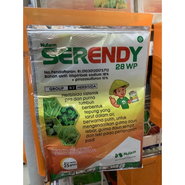 serendy