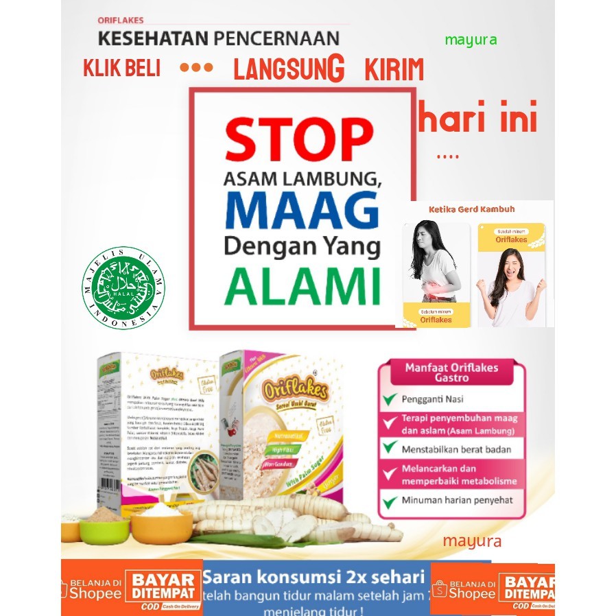 

ORIFLAKESLAMBUNG ASAM LAMBUNG