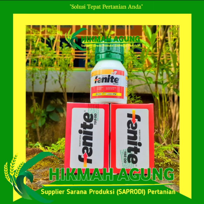 

Insektisida Fenite 150 OD dari Petrokimia kayaku 50ml