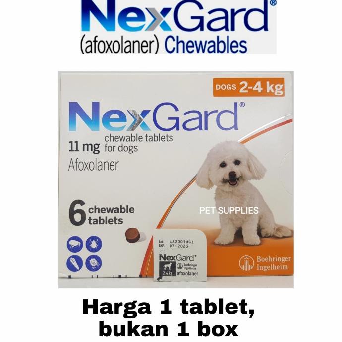 obat kutu anjing paling ampuh NEXGARD, 2-4 kg
