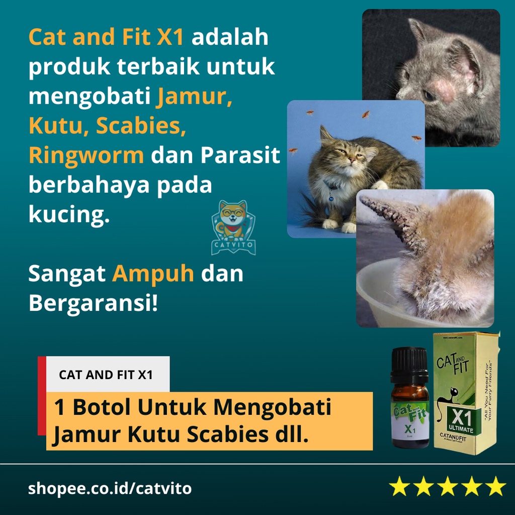 OBAT RINGWORM JAMUR KUCING 100% AMPUH CAT AND FIT X1 TETES OLES