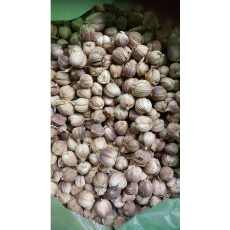 

KAPULAGA ORGANIK 500G