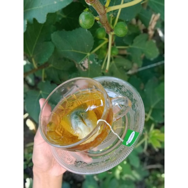 

teh buah daun tin