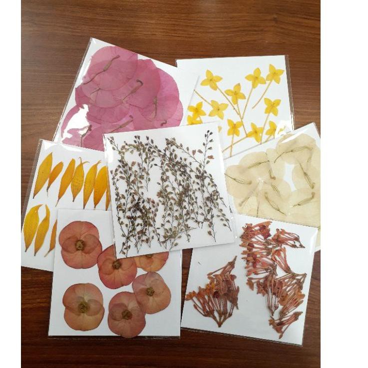 

✔stok yang ada Raw Pressed Flower Petals
