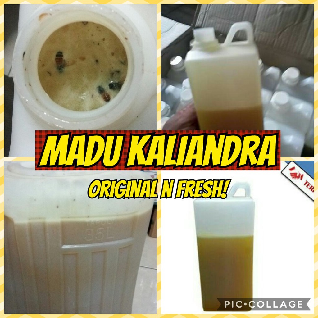 

Madu Kaliandra