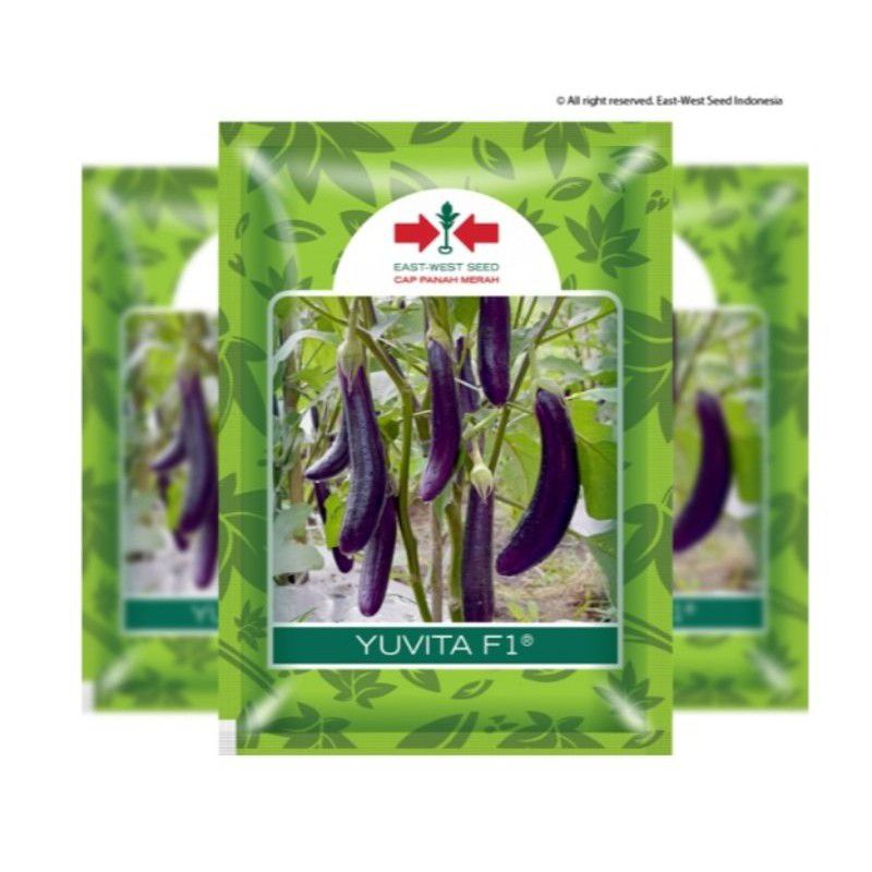 Benih Terong Ungu Yuvita isi 400 Butir