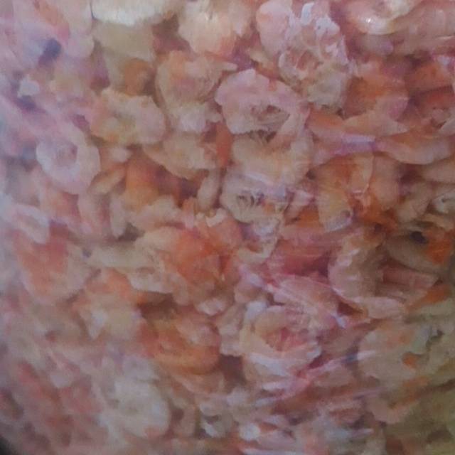 

Ebi Kering