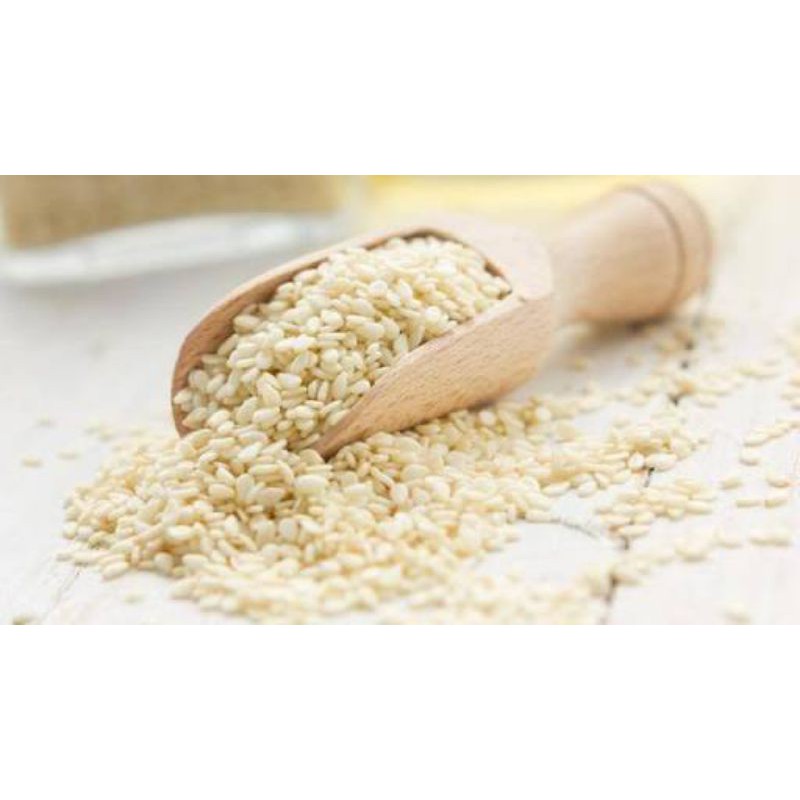 

Biji Wijen Putih Terbaik dan berkualitas/ Sesame Seeds / Repack 100 gram / Termurah
