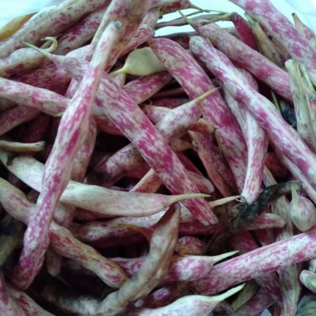 

Ucet Merah 500 gram~ Kidney Beans~Azuki Beans