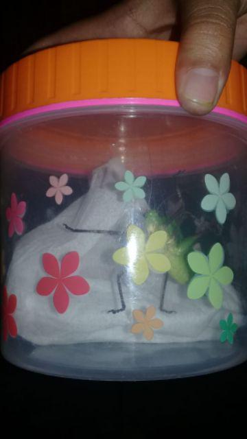 Sendok Makan / Sendok Bebek Isi 144 Pcs