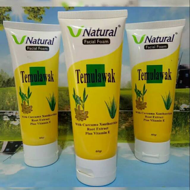 V NATURAL FACIAL FOAM TEMULAWAK 100GR - SABUN WAJAH V NATURAL