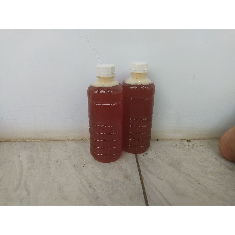 

madu klanceng 500gr