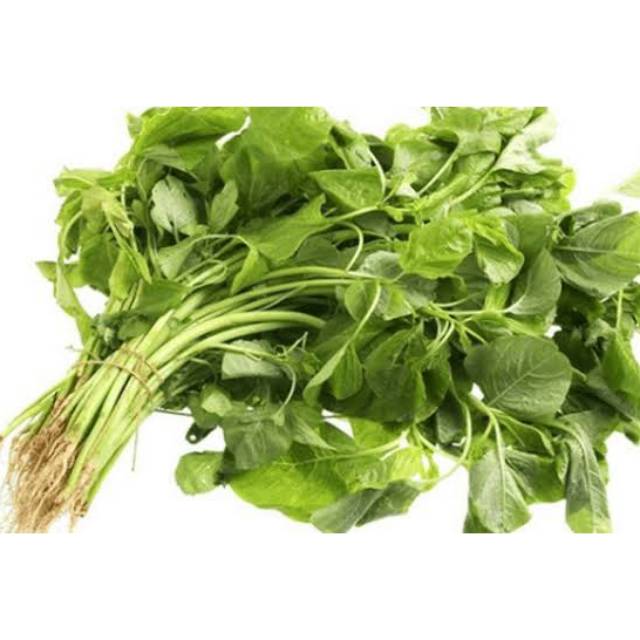 

Tokko Daun Bayam